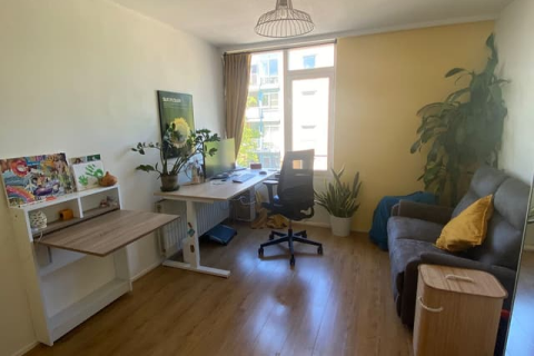 house image