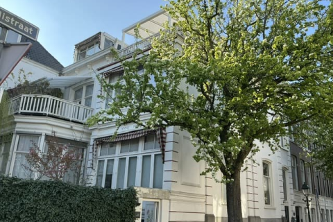 house image