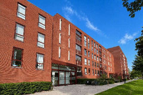 house image