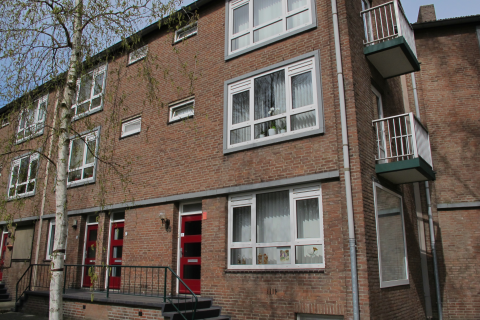 house image