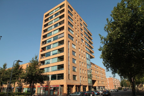 house image