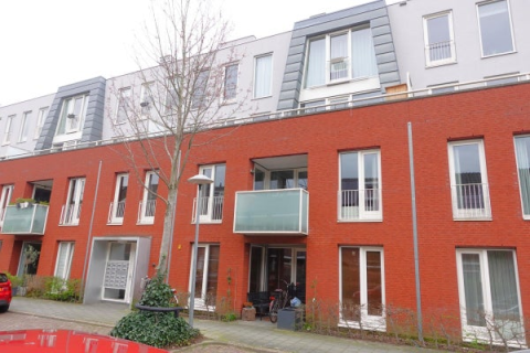 house image