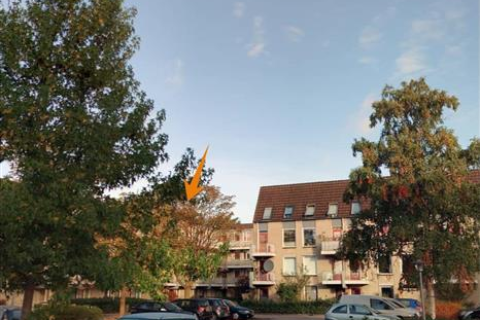 house image