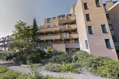 house image