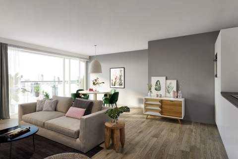 house image