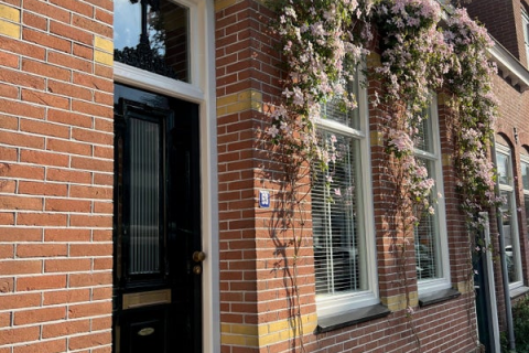 house image