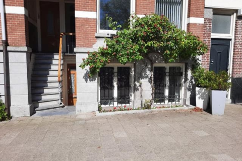 house image
