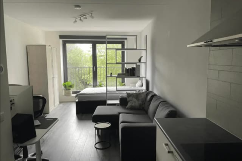 house image