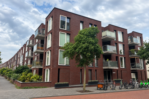house image