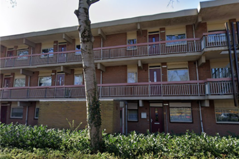 house image