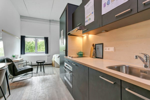 house image