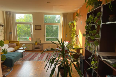 house image