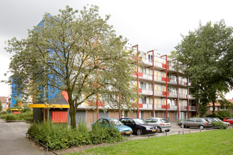 house image