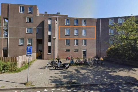 house image