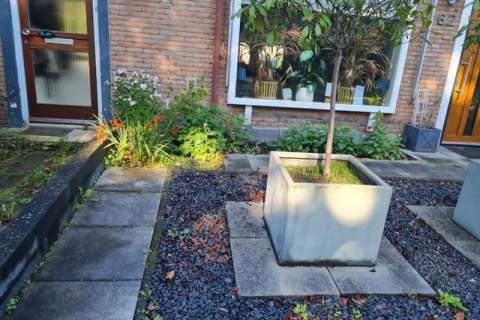 house image