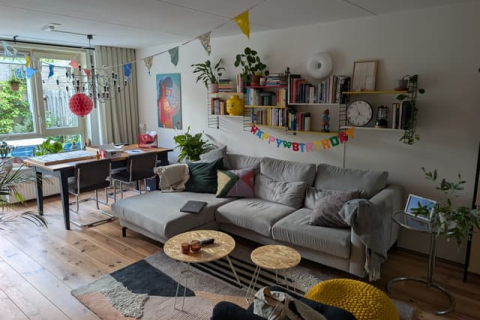 house image