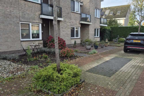 house image