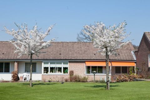 house image