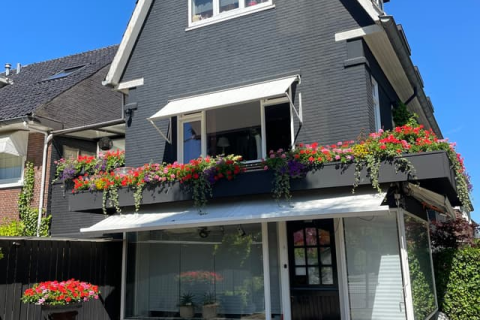 house image