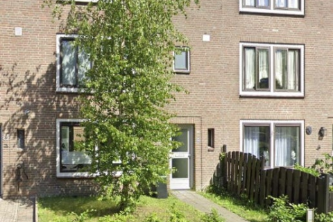 house image