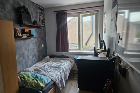 house image