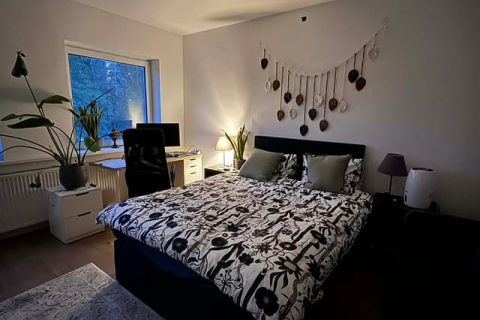 house image