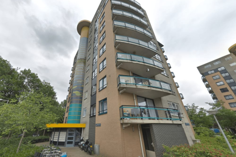 house image