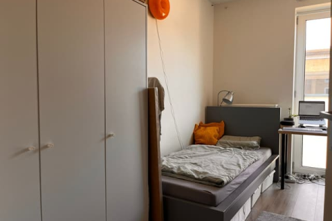 house image