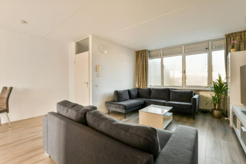 house image