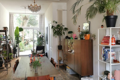 house image