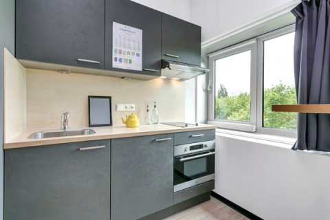 house image