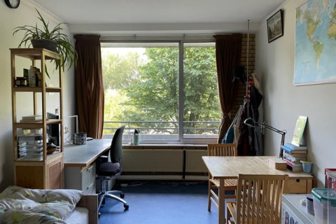 house image
