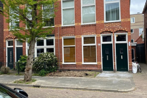 house image