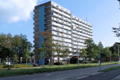 house image