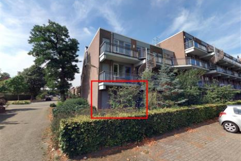house image