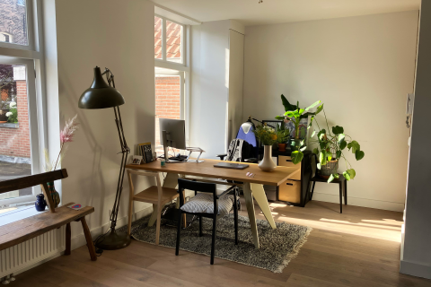 house image