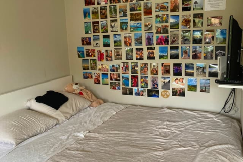 house image