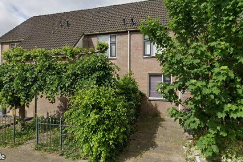 house image