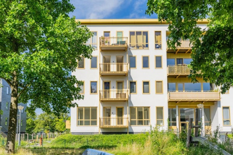 house image