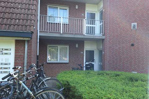 house image