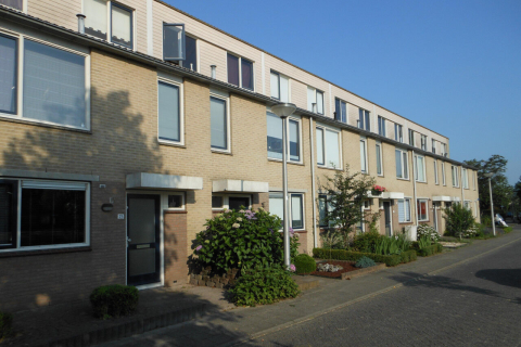 house image
