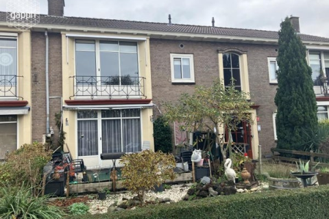 house image