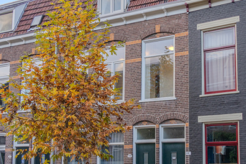 house image