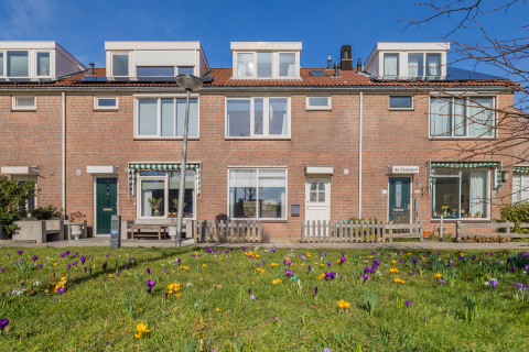 house image