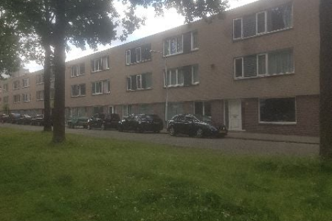 house image