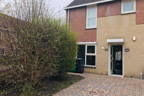 house image