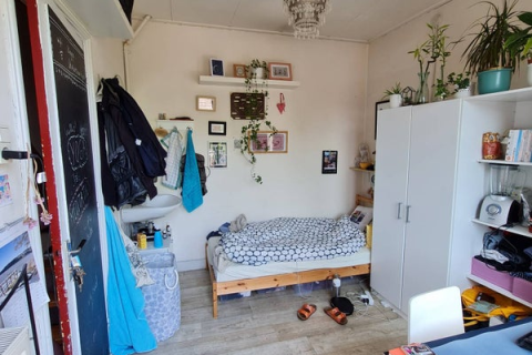house image