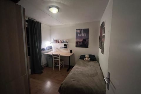 house image