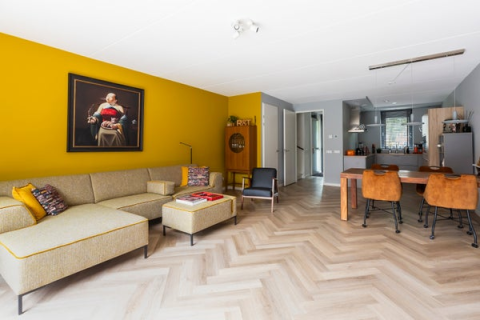 house image