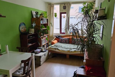house image
